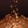 Earth Attack Weak Point (1)
Vulnerable to earth attacks.